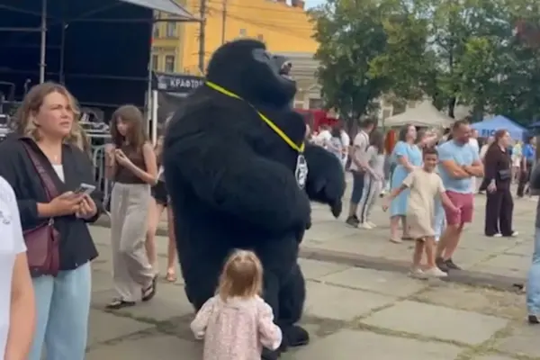 Vandal у Чернівцях: горила-маскот, власник Півовар і увага БЕБ