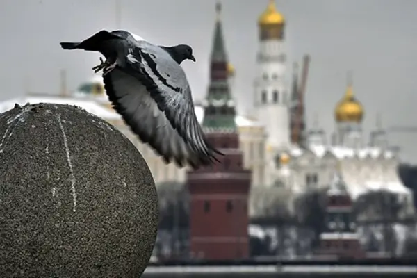 Пєсков 23 вересня: чому Кремль не бачить підстав для мирного треку